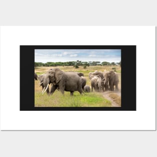 Elephant Family, Ngorongoro Concession, Tanzania Posters and Art